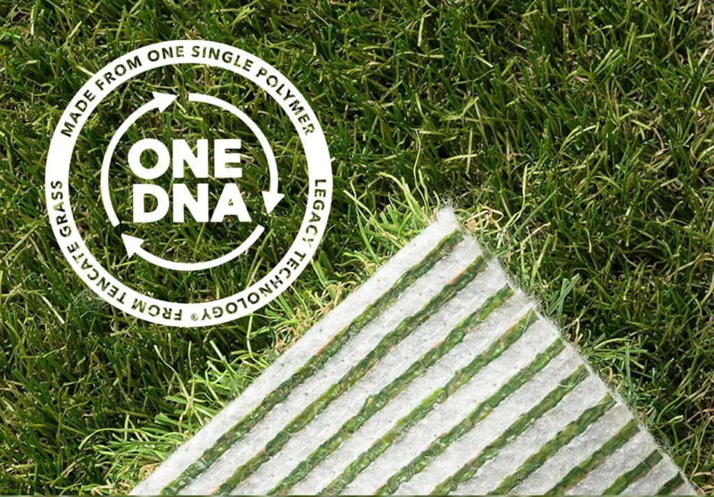 ONE-DNA Strategie