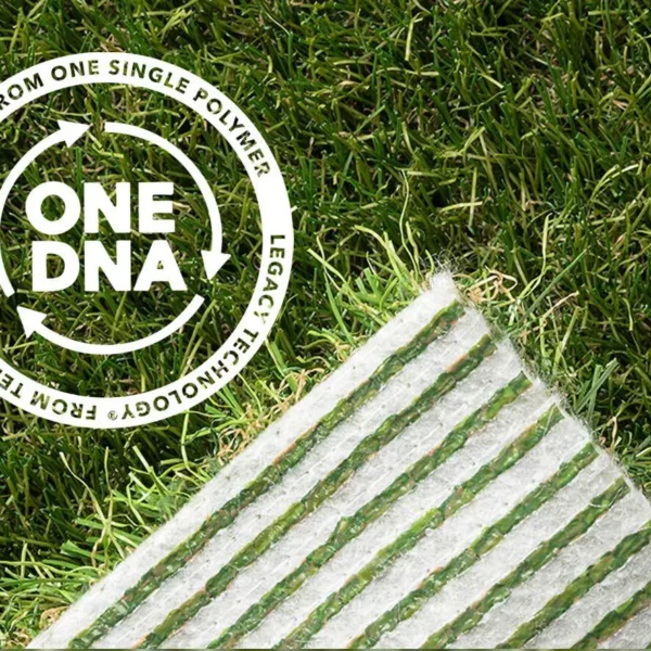 ONE-DNA Strategie