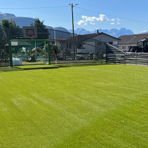 TeBe Sports Norway ONE-DNA-Artificial-grass
